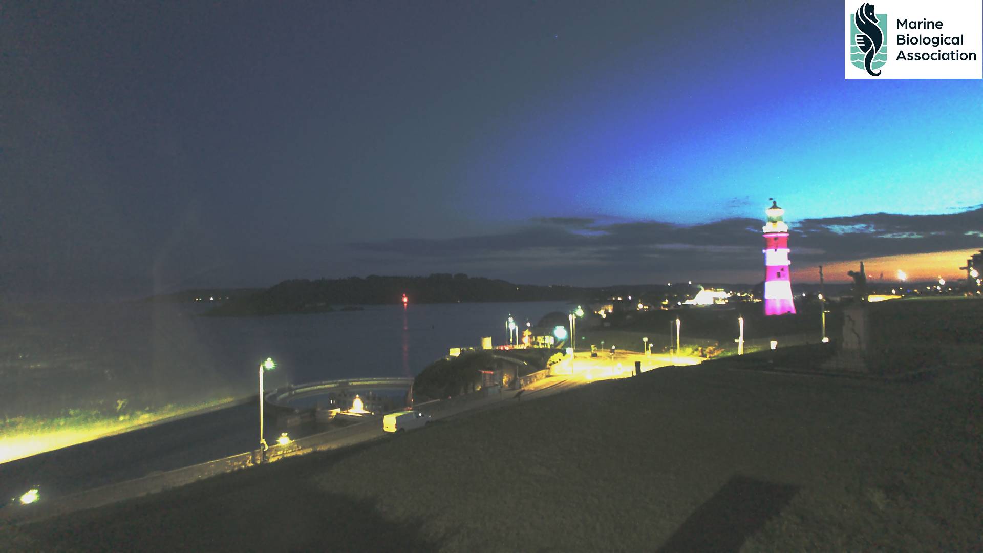 Late Evening