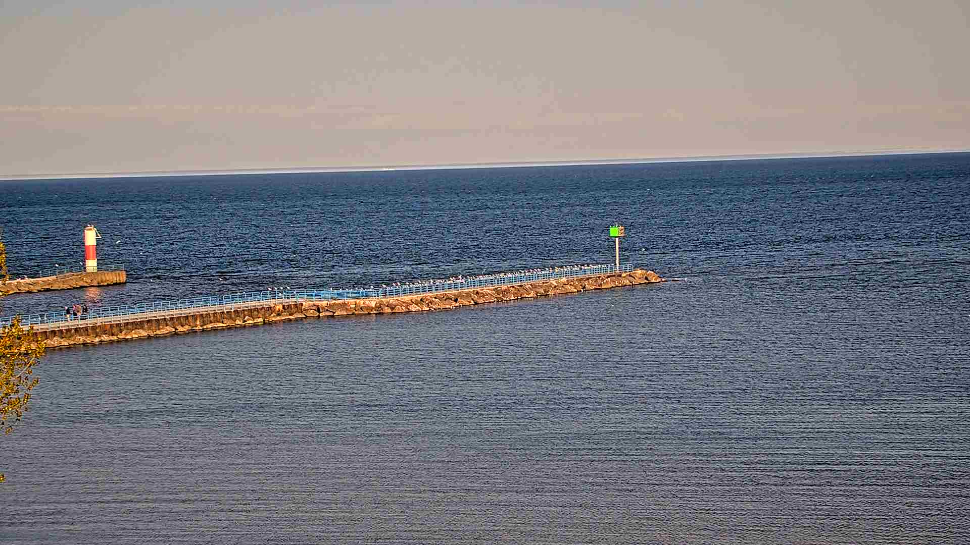 Late Afternoon