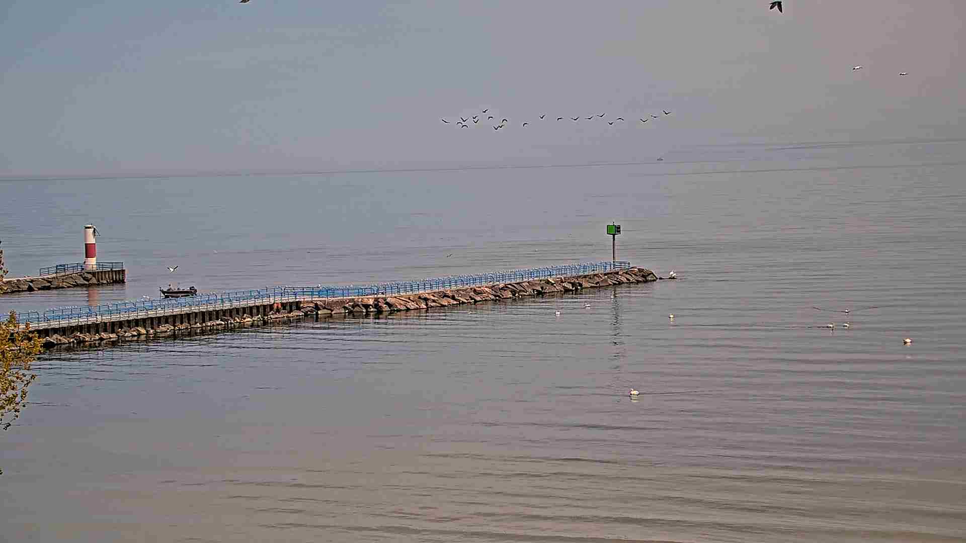 Midday