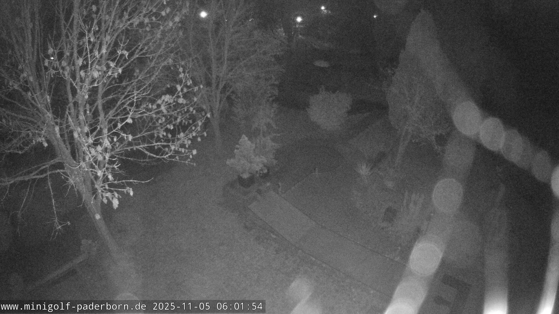 Early Morning