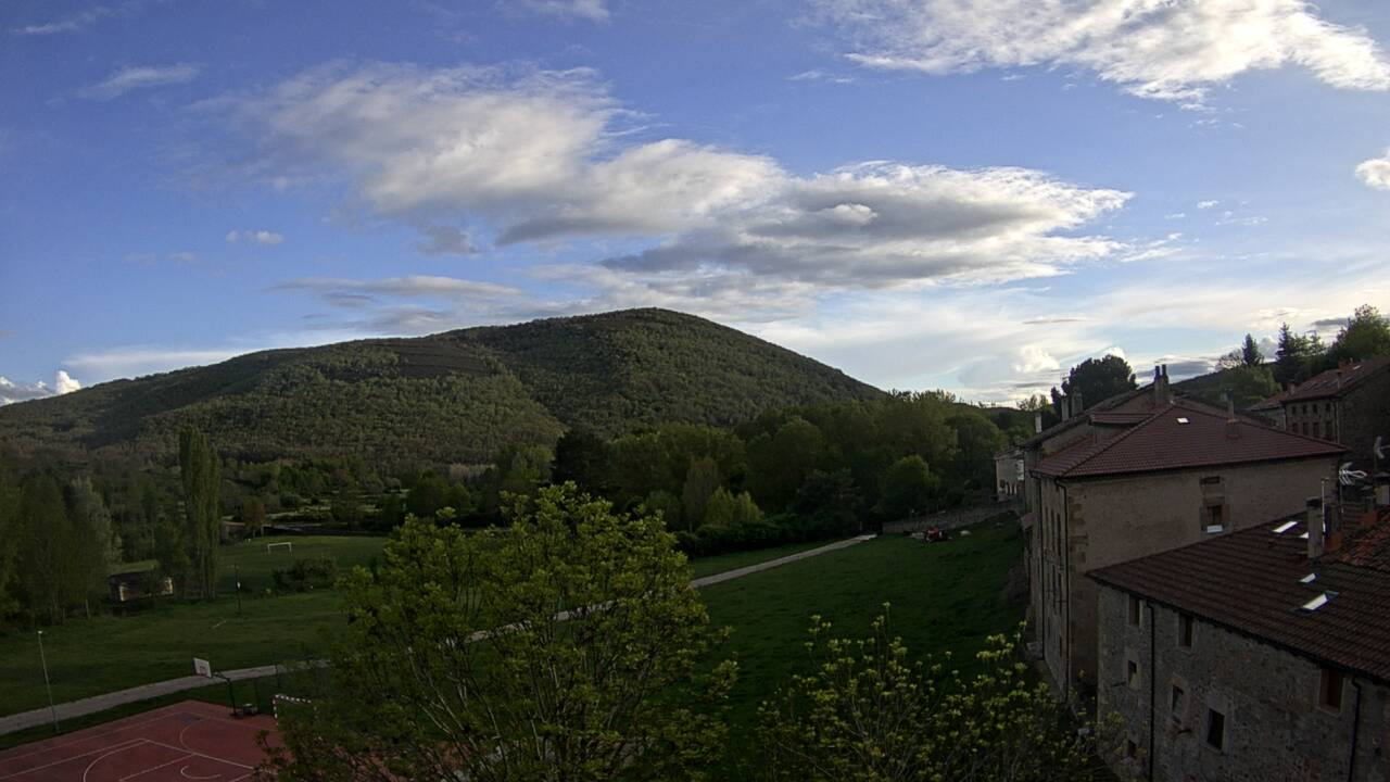Late Afternoon