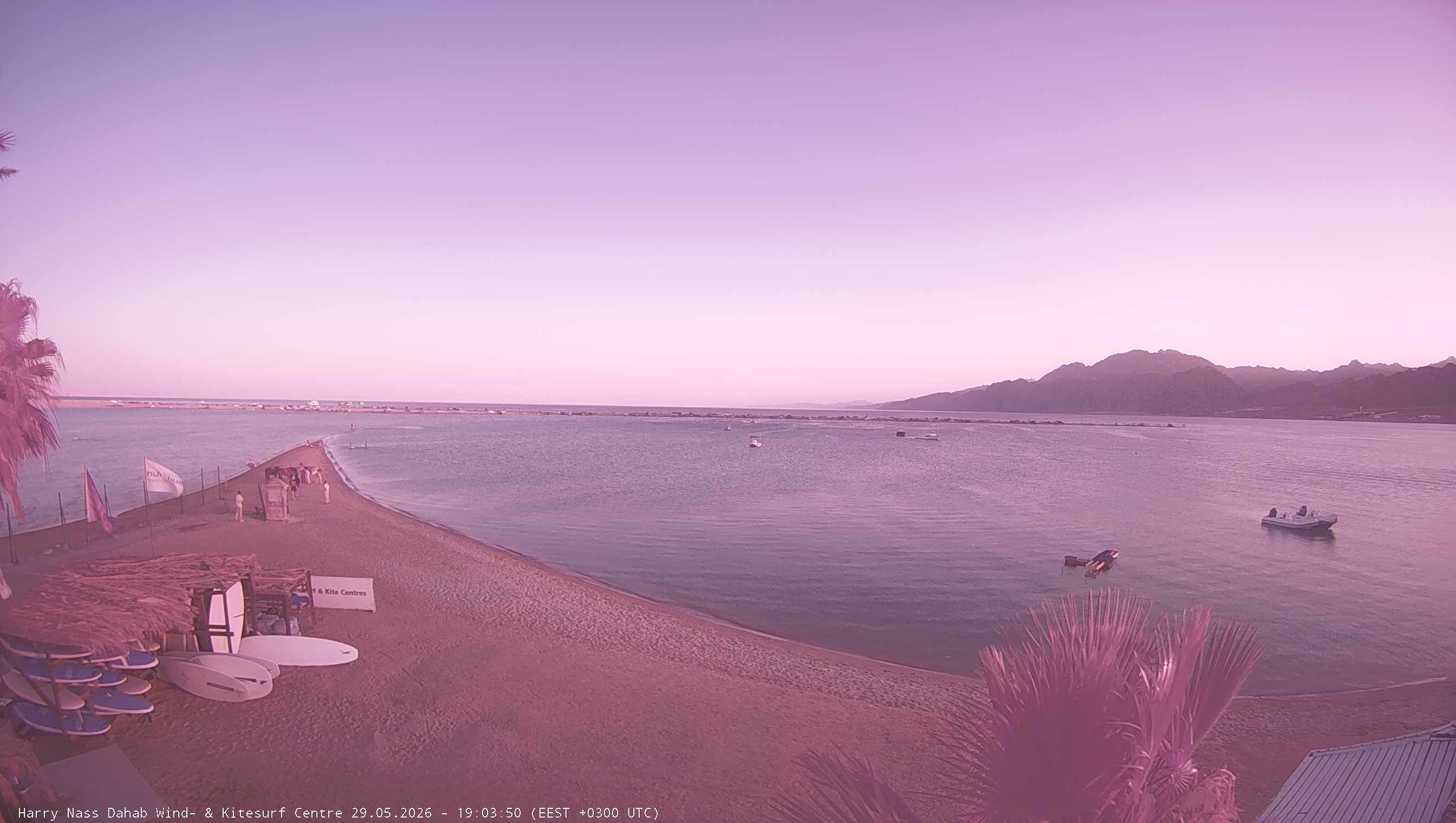 Late Afternoon