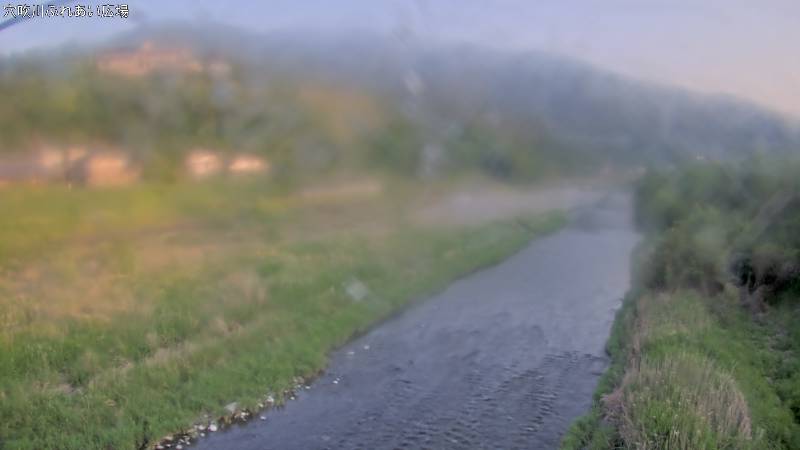 Late Afternoon