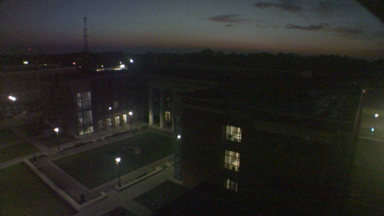 Early Morning
