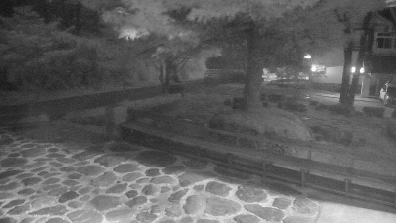 Late Evening